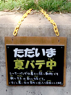 旭山動物園　レッサーパンダ　看板.jpg